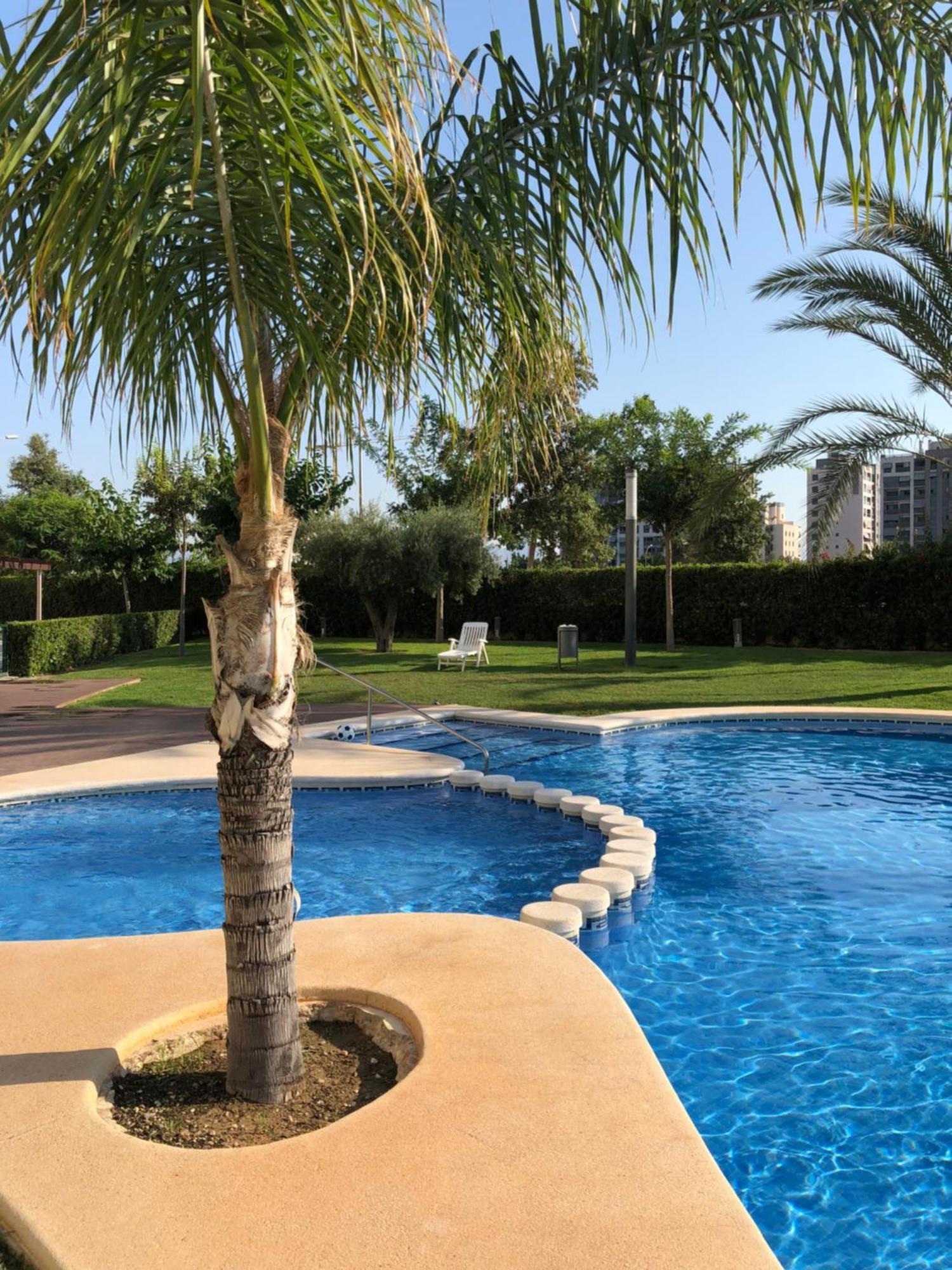 New Apartment In San Juan Playa, Alicante Pau5 Eksteriør bilde